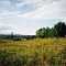 Wieżyca 2003