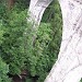  Stańczyki2005