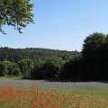 Vejherovia Velo