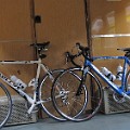 Vejherovia Velo