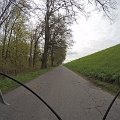 wielicka
