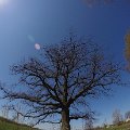 wielicka