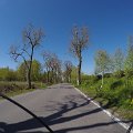 wielicka