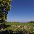wielicka
