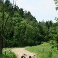 BeskidNiski