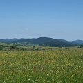 Majka Days 2018