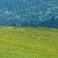 Majka Days 2018